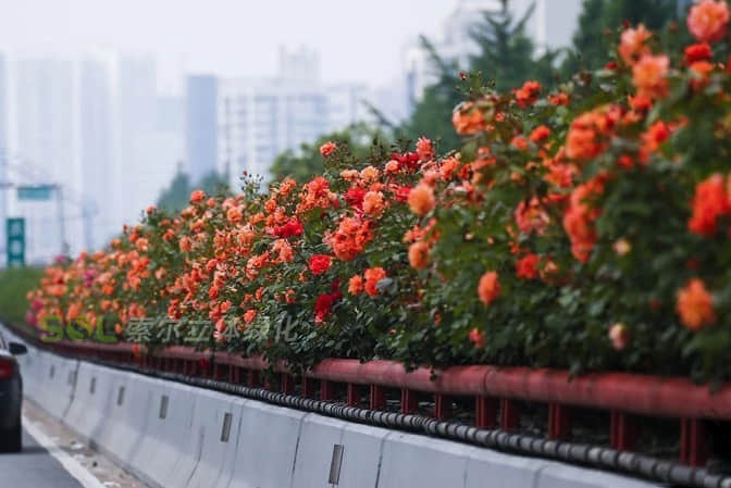 Landscape improvement of viaduct