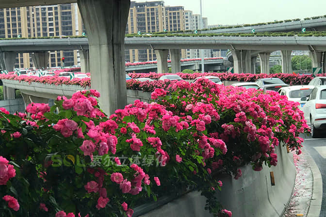 Landscape improvement of overpass