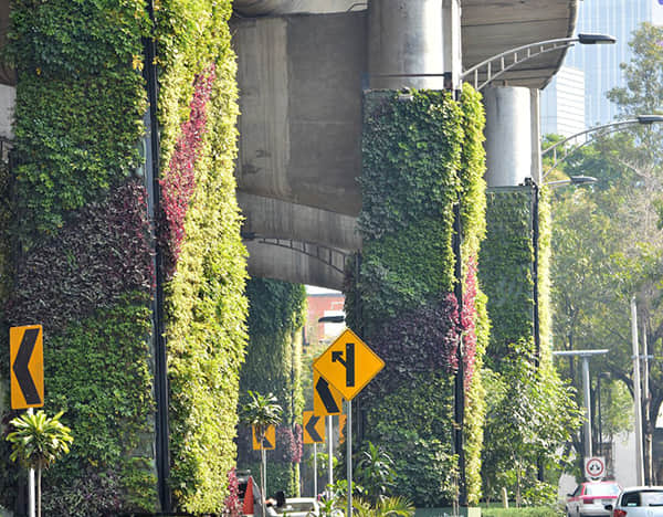 Brief introduction of pier greening solution 1