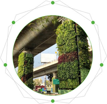 Characteristics of pier greening