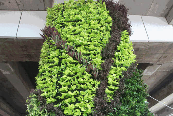 Landscape improvement of pedestrian overpass