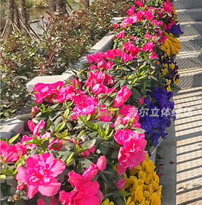 Pedestrian overpass Greening - double hanging