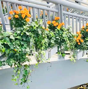 Pedestrian overpass Greening - single side hanging