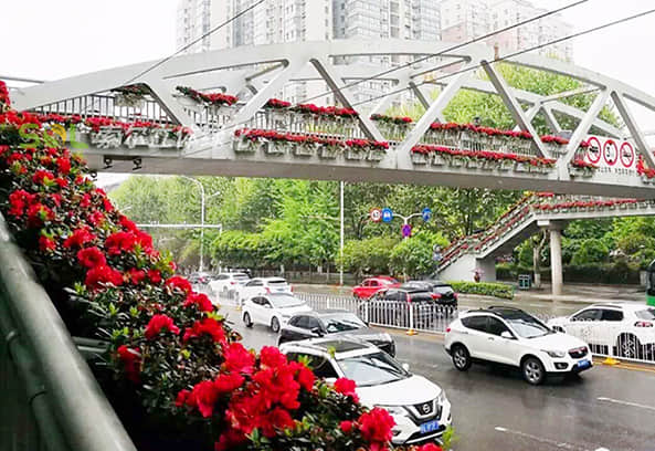Landscape improvement of pedestrian overpass