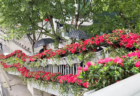 Landscape improvement of pedestrian overpass