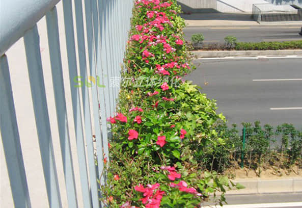 Landscape improvement of pedestrian overpass