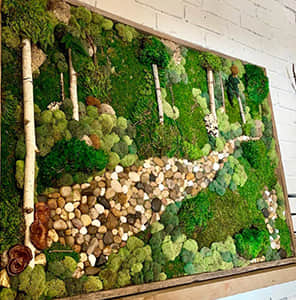 Garden on the wall