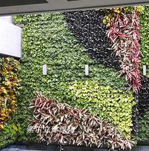 Container modular plant wall