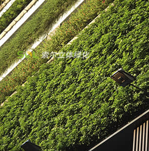 Container modular plant wall