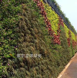 Container modular plant wall