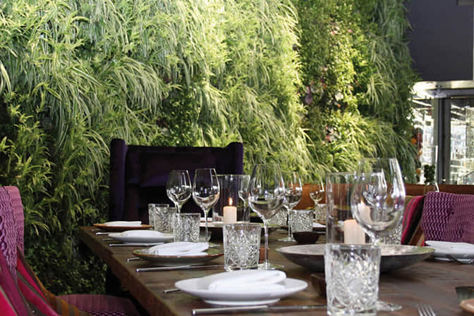 Vertical landscape improvement of restaurant