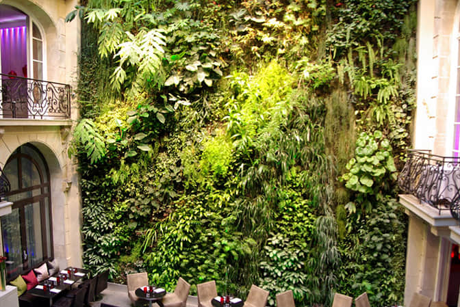 Vertical landscape improvement of restaurant