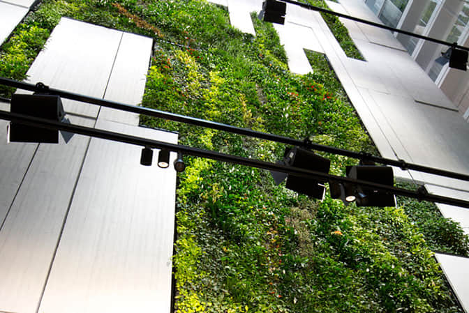 Commercial complex landscape promotes interior plant wall