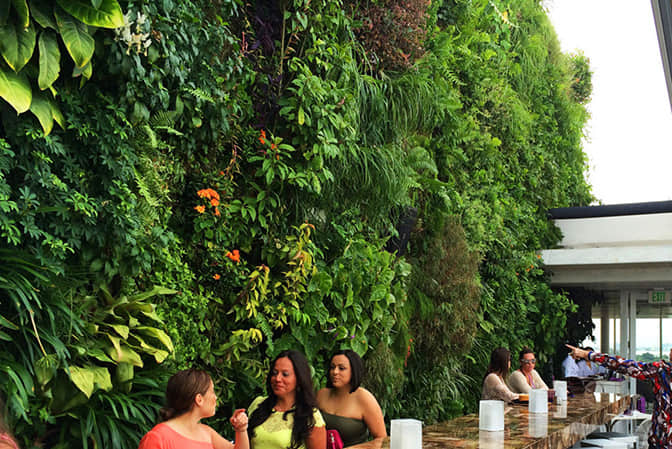 Building greening and landscape upgrading roof plant wall