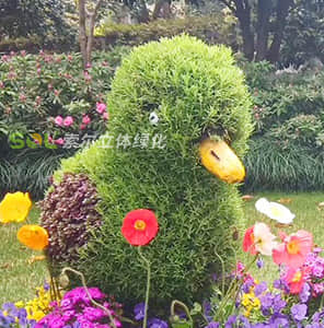 Green carving Landscaping