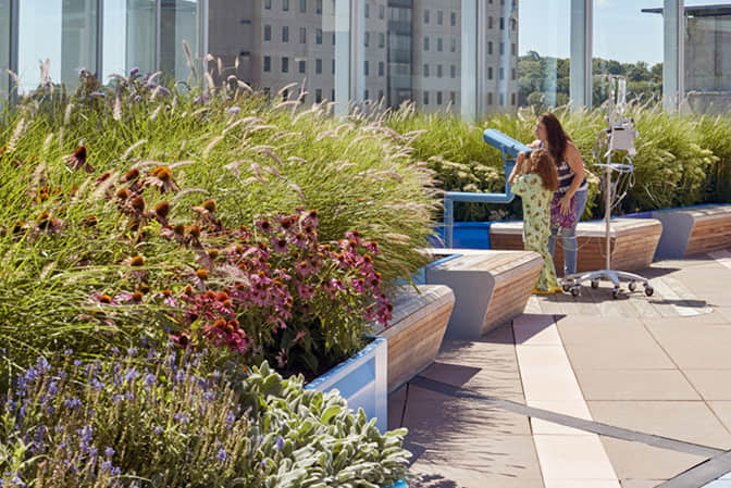 Public place landscape upgrade hospital roof garden