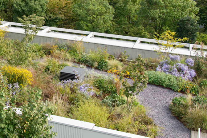 CBD building landscape upgrade roof garden