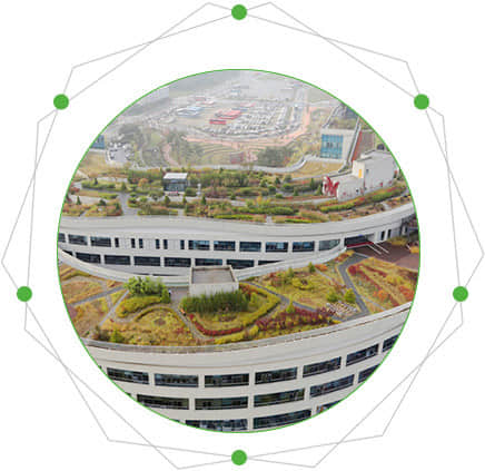 Characteristics of roof garden