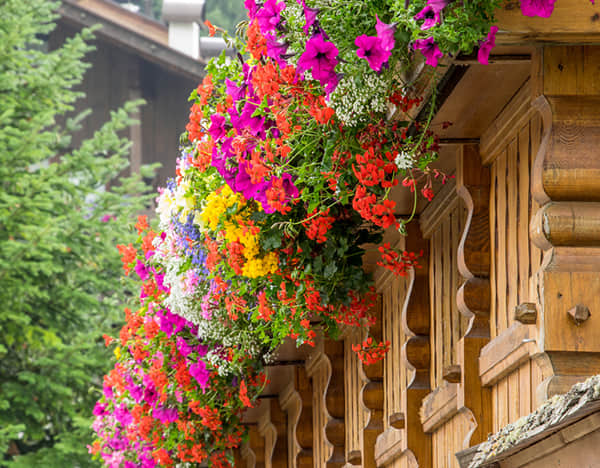 Balcony garden solution introduction
