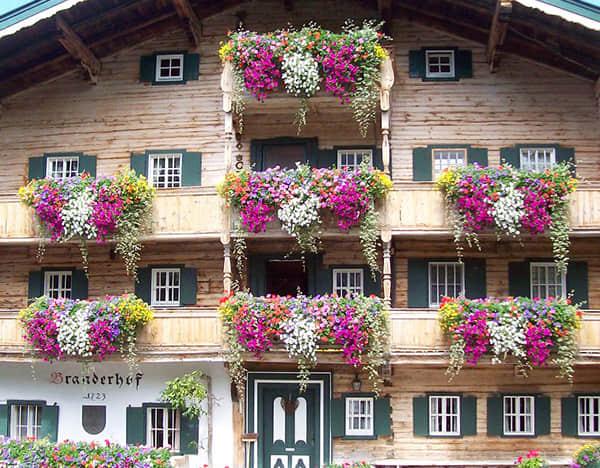 Balcony garden solution introduction