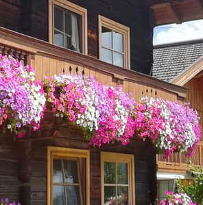 Beautification of balcony extension