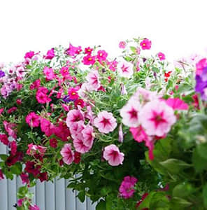 Double side hanging beautification of balcony guardrail