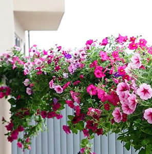 Double side hanging beautification of balcony guardrail