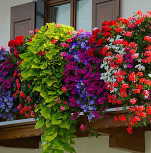 Single side hanging beautification of balcony guardrail