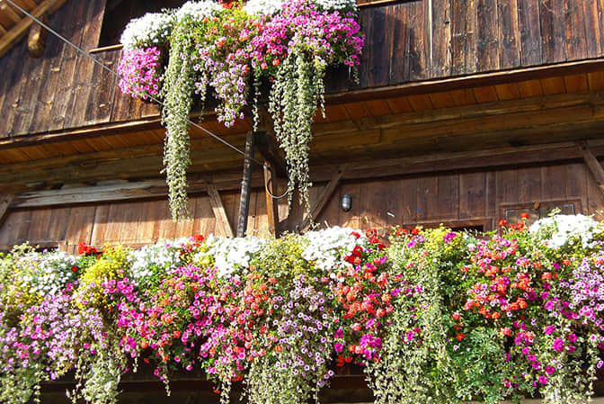 Tourism town landscape upgrade the balcony garden of guest house