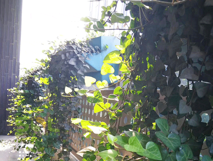 Installation process of balcony garden