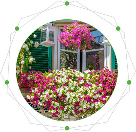 Characteristics of balcony garden