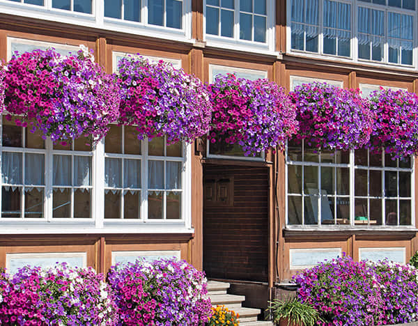Window sill beautification solution display