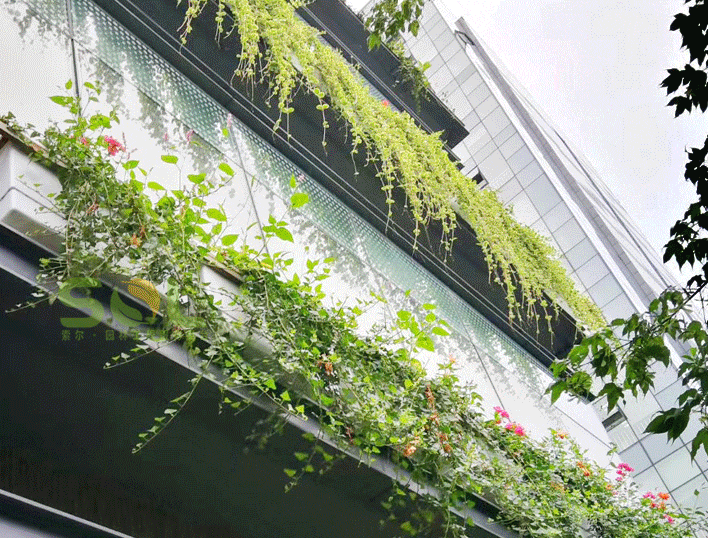 Window landscaping installation process