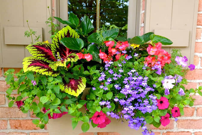 Tourism town landscape promotes the window sill beautification of guest house