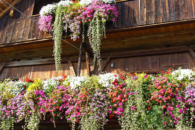 Tourism town landscape promotes the window sill beautification of guest house