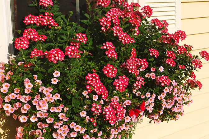 Improve the window sill beautification of high-end apartment