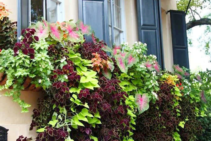 Improve the window sill beautification of high-end apartment