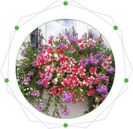Characteristics of window sill beautification
