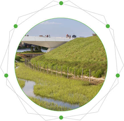 Characteristics of riverbank greening