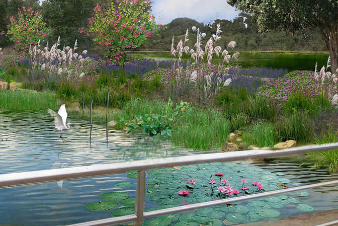 Landscape improvement of rivers and levees
